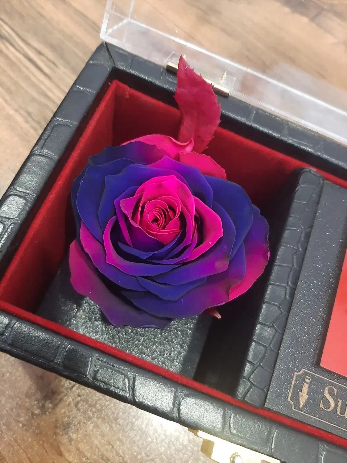 رز جاودان و باکس موزیکال|گل و گیاه طبیعی|تهران, افسریه جنوبی|دیوار