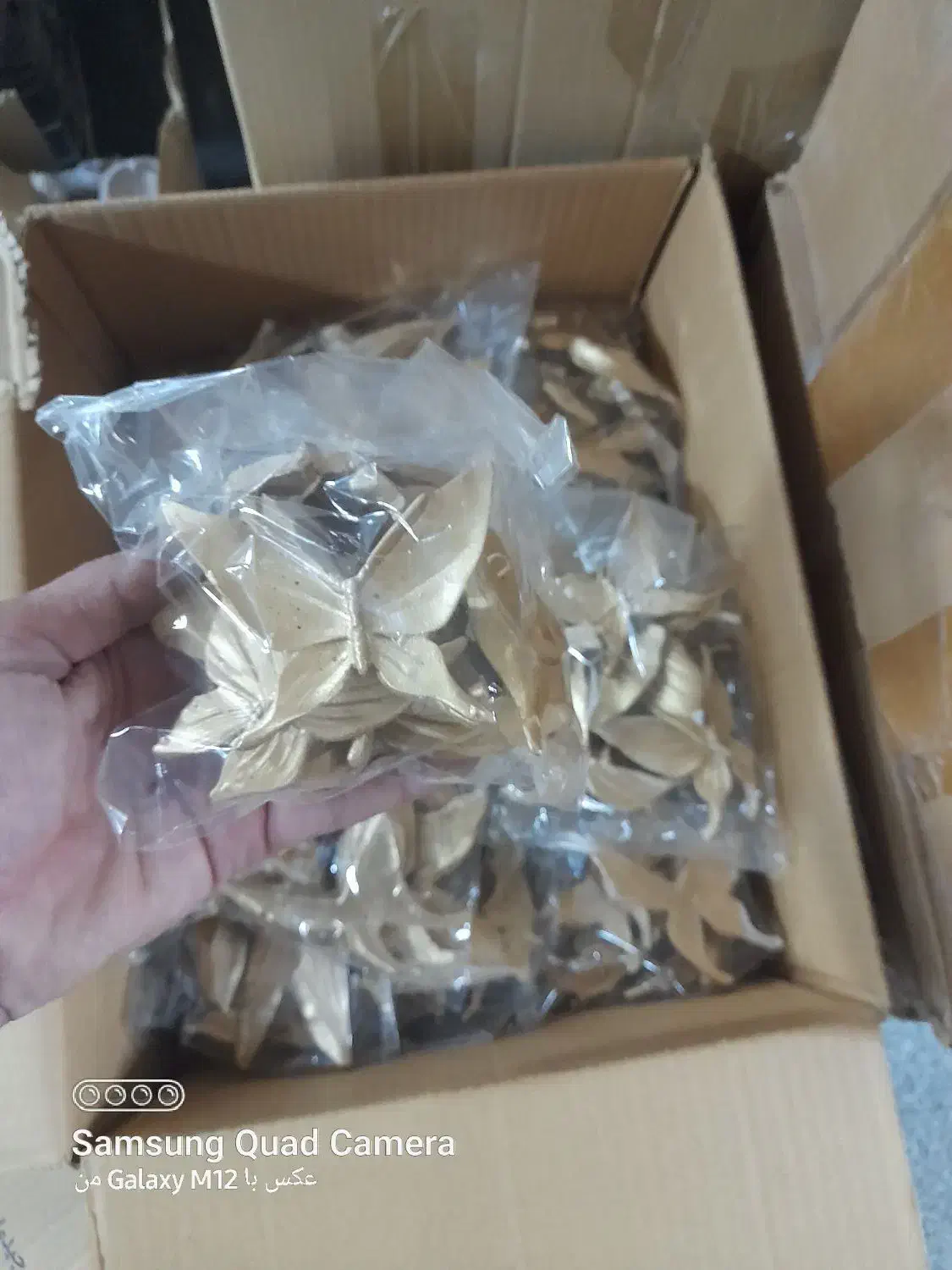 طوطی و پروانه و سرویس بهداشتی پلی استر رزین|مجسمه، تندیس، ماکت|ایذه, |دیوار