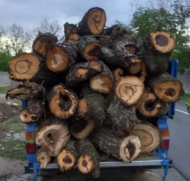 خرید چوب|خدمات پیشه و مهارت|مراغه, |دیوار