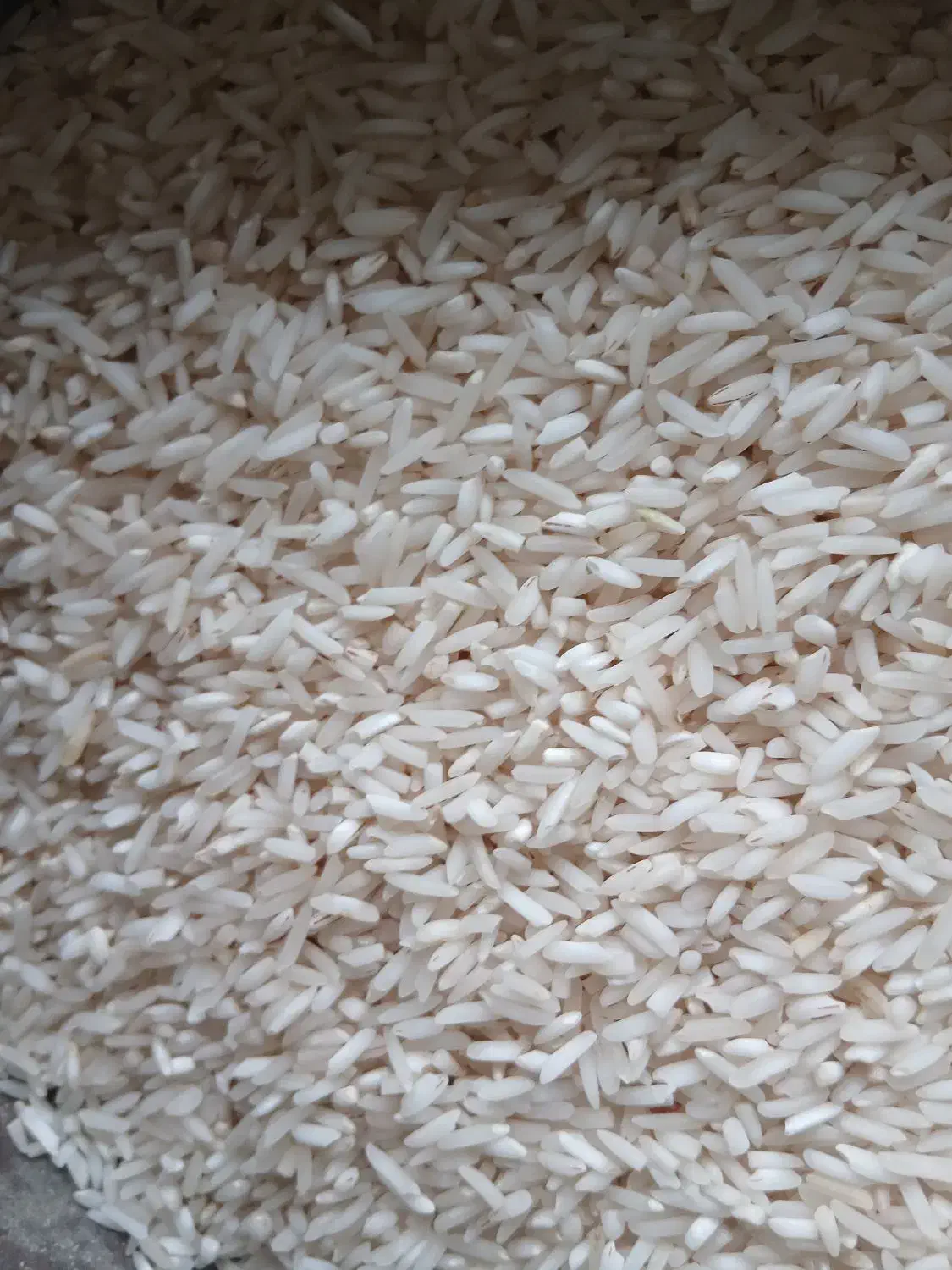 برنج حسنی روشن وشیرودی|خوردنی و آشامیدنی|سنگر, |دیوار