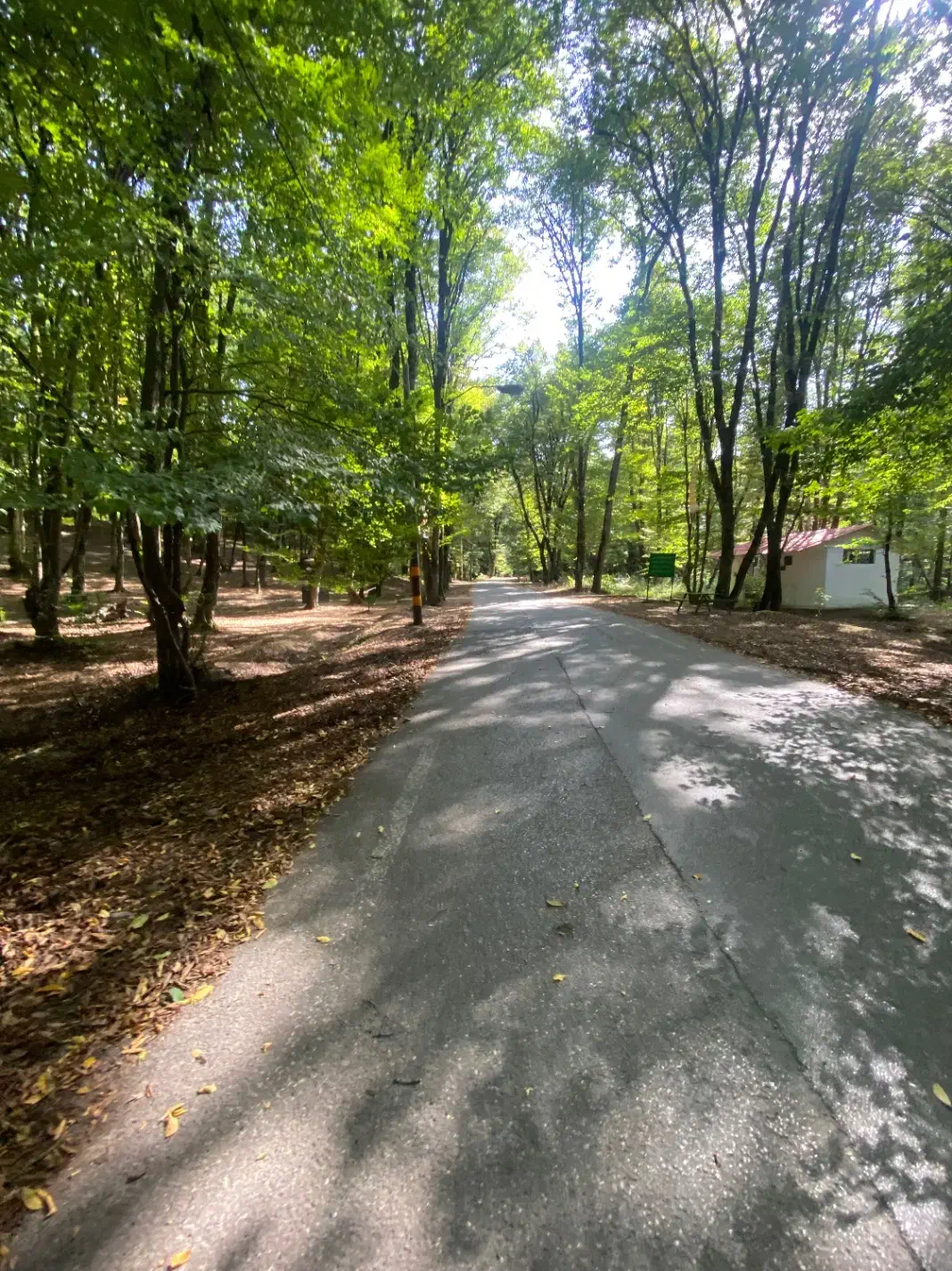 استخدام منشی خانم/املاک|استخدام اداری و مدیریت|گرگان, |دیوار