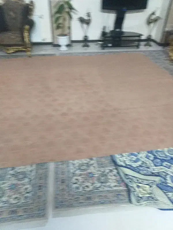 موکت|موکت|اصفهان, ملکشهر|دیوار