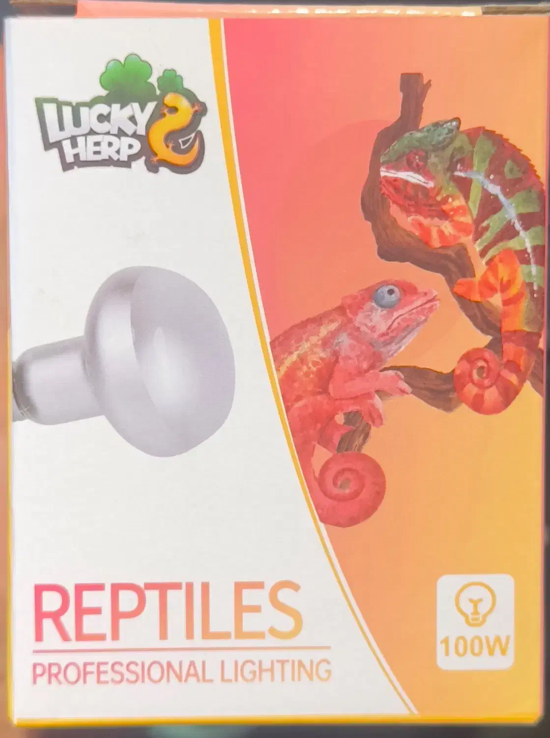 کملیون|خزنده|تهران, قلهک|دیوار