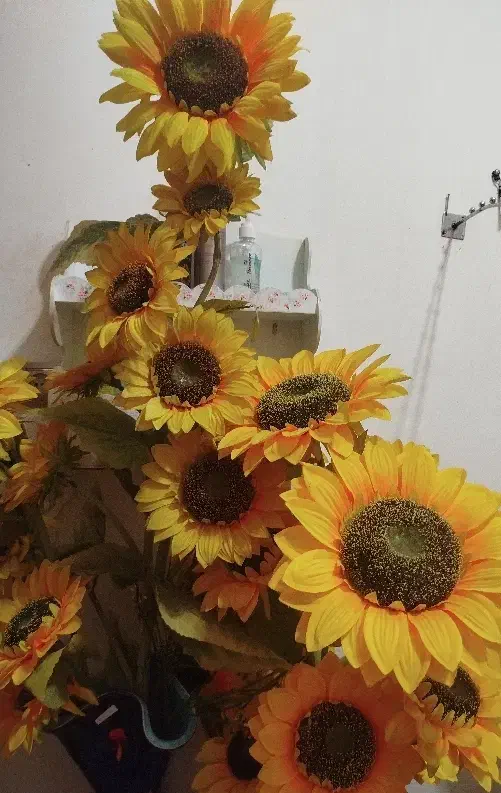 گل آفتابگردون و گل ارکیده|گل مصنوعی|رشت, کوی عرفان|دیوار