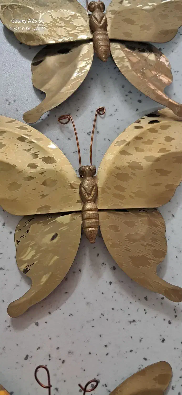 پروانه دیوار کوب|مجسمه، تندیس، ماکت|قم, شاه سید علی|دیوار