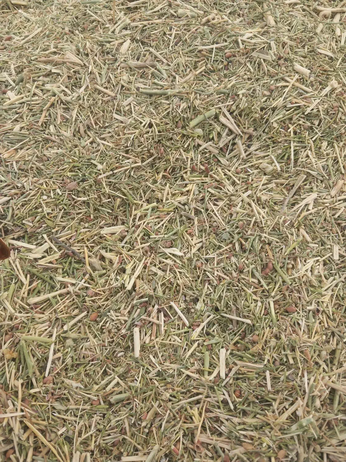 خار دانه دار|لوازم جانبی حیوانات|گناباد, |دیوار