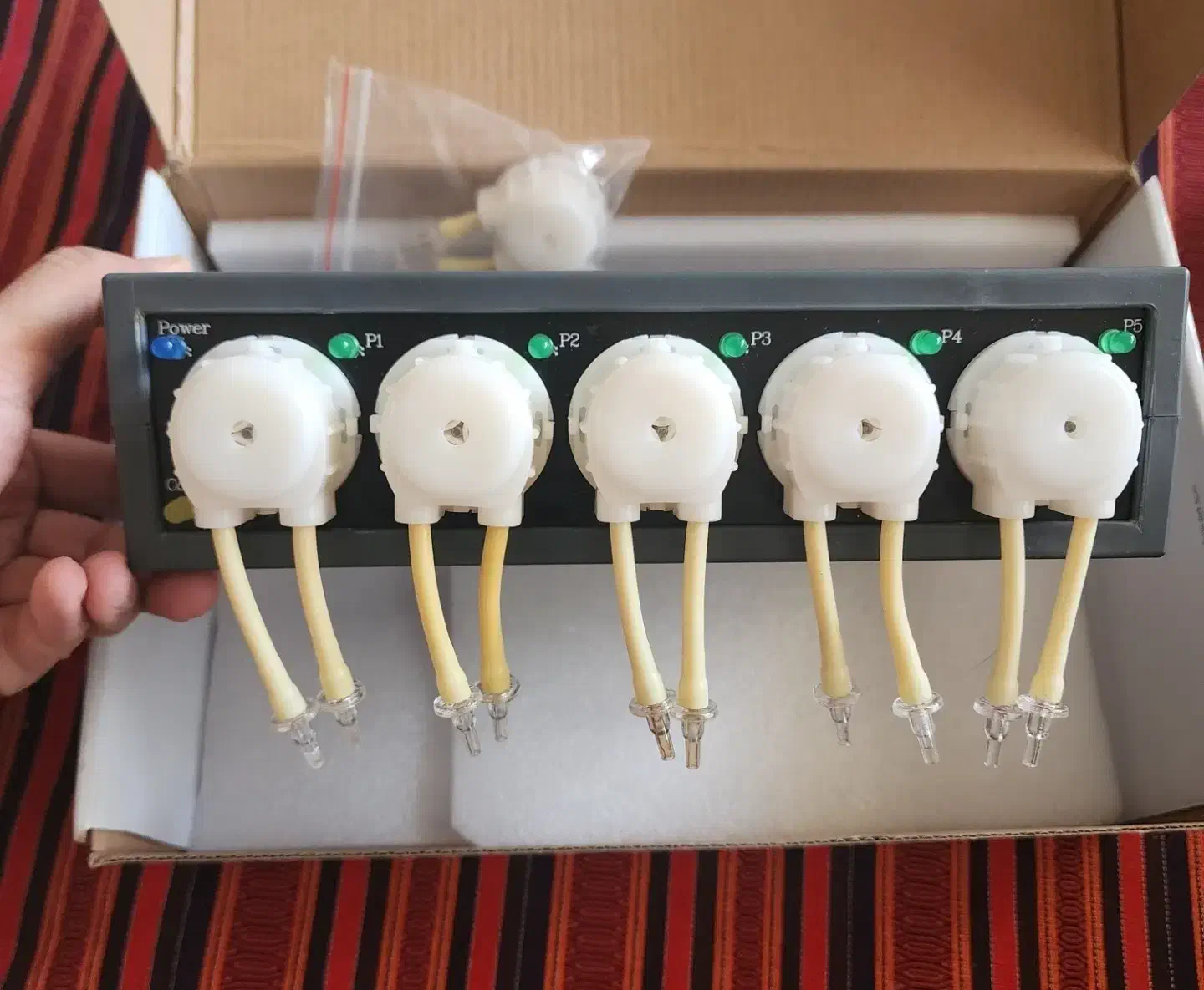 فروش تجهیزات آکواریوم آب شور|ماهی|اصفهان, پروین|دیوار