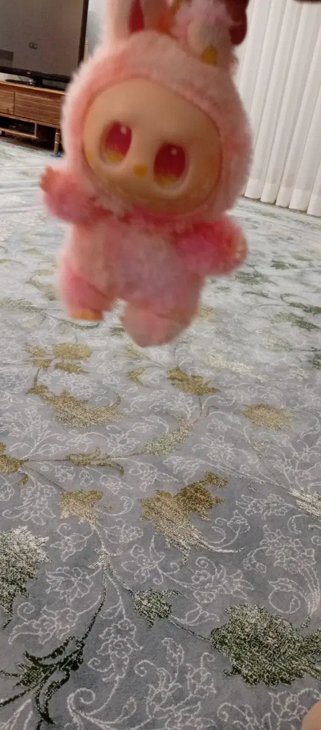 لبوبو|اسباببازی|معمولان, |دیوار