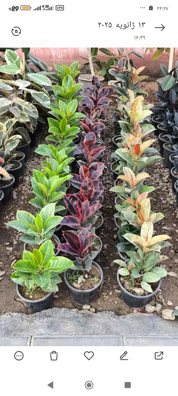 نیروی کار|خدمات باغبانی و درختکاری|خمین, |دیوار