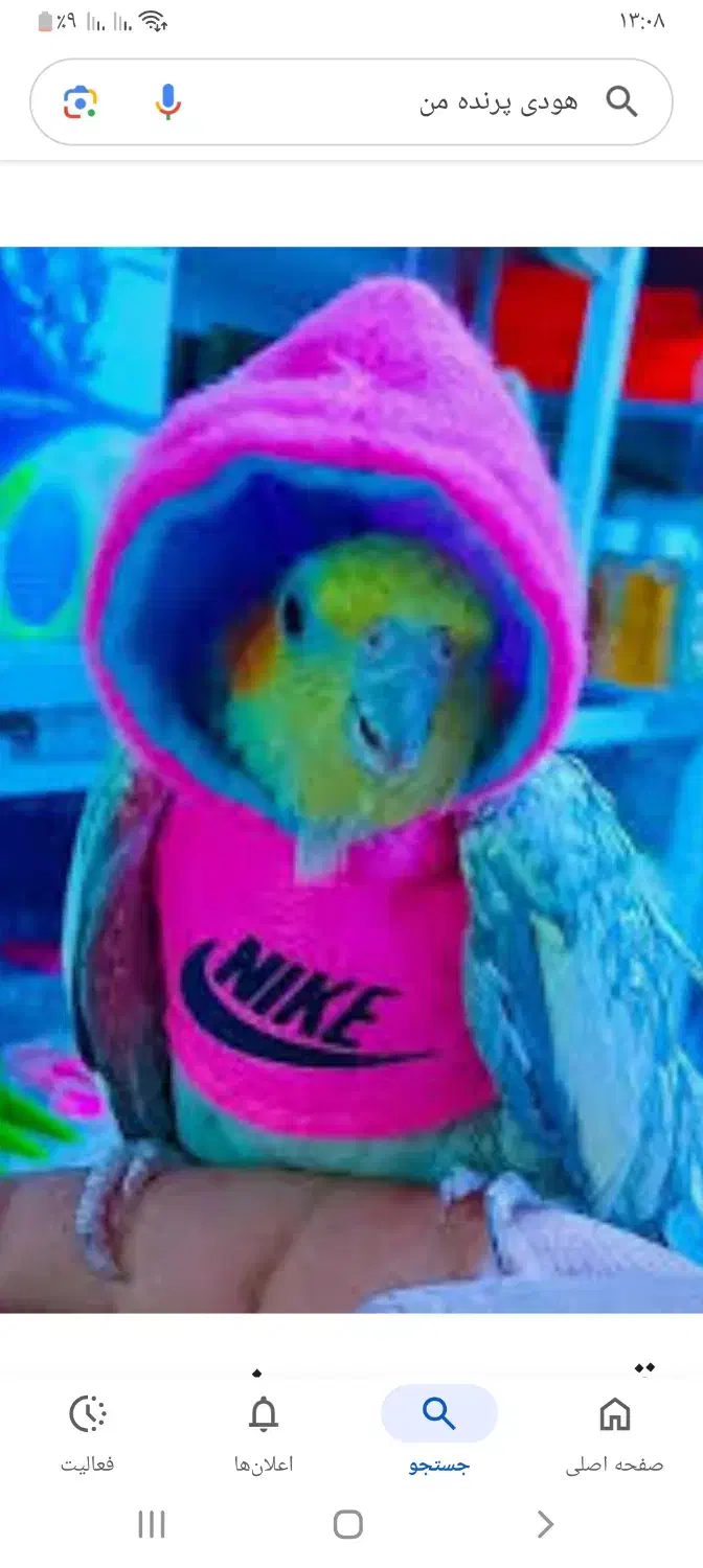 هودی و پوشک پرنده|لوازم جانبی حیوانات|اردستان, |دیوار