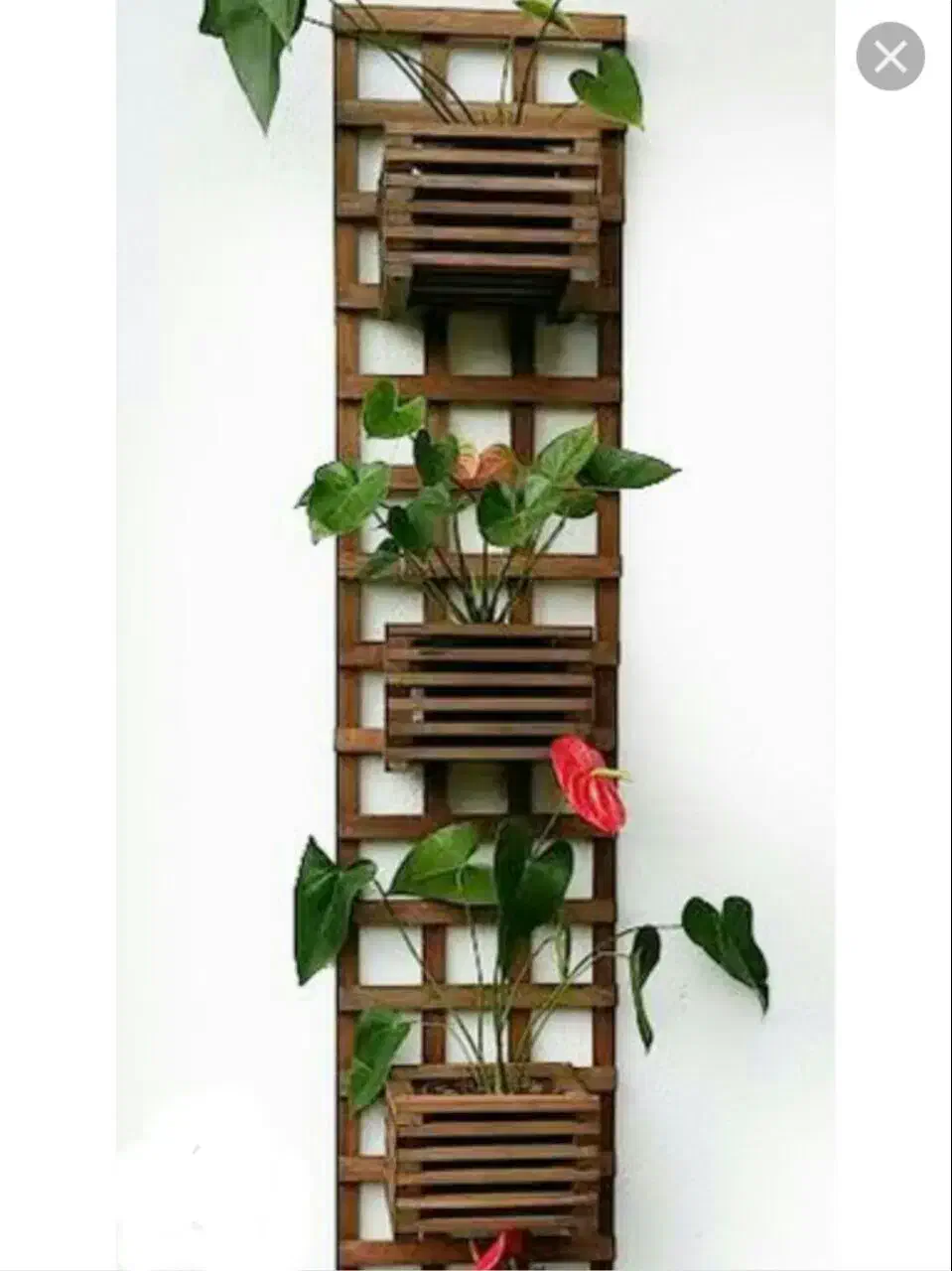 استندهای چوبی آپارتمانی|کتابخانه، شلف، قفسههای دیواری|رشت, کوی مهر|دیوار