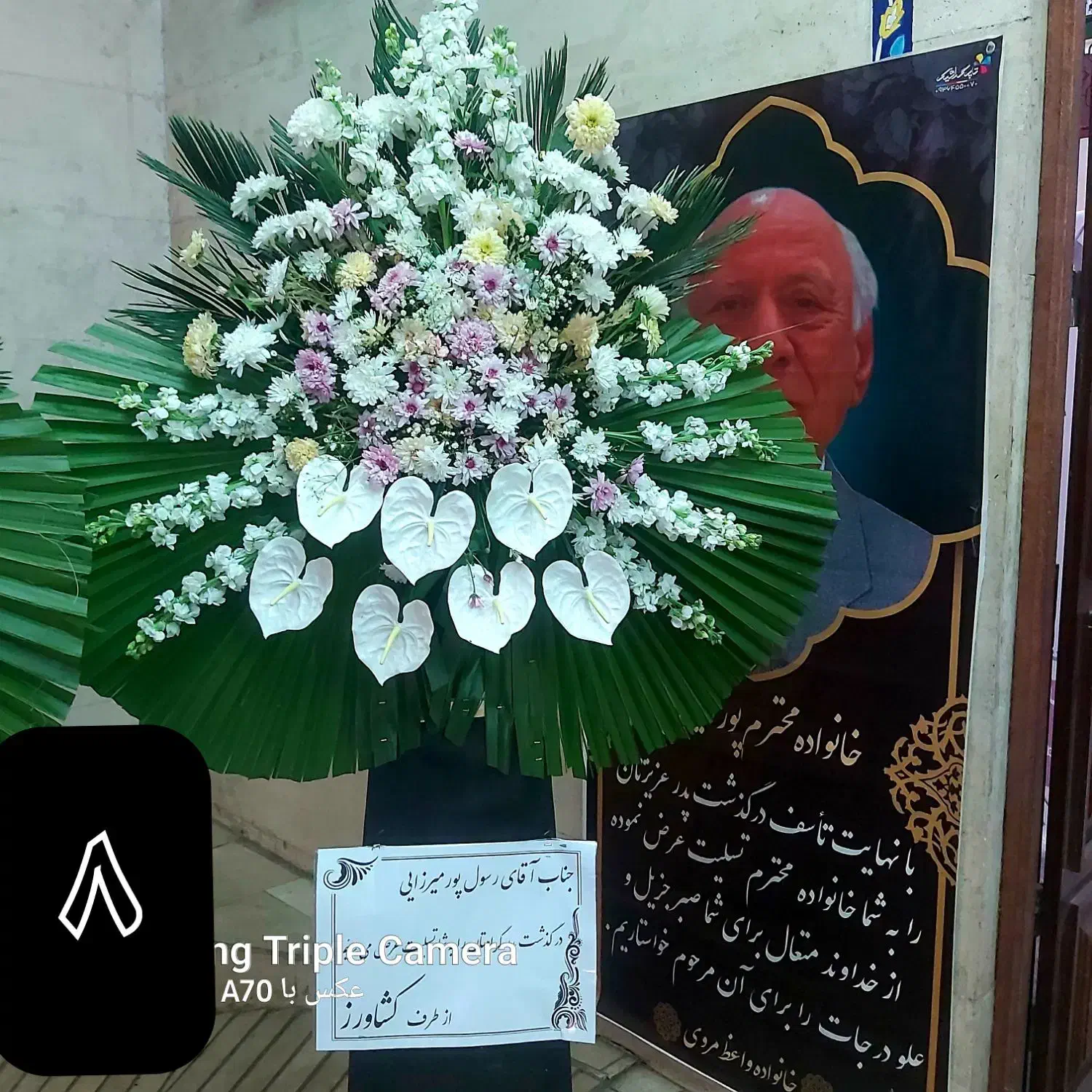 تاج گل پایه سبد و دسته گل ماشین عروس خدمات تشریفات|گل و گیاه طبیعی|مشهد, امیر|دیوار