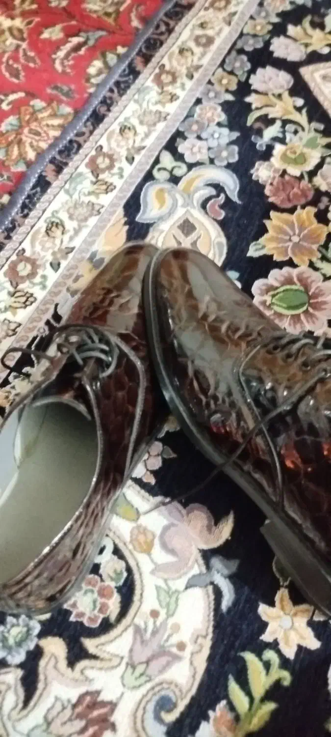 کفش مجلسی|کیف، کفش، کمربند|سراوان, |دیوار