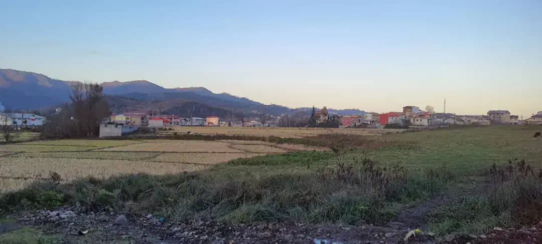 400هکتار|فروش زمین و ملک کلنگی|دیلمان, |دیوار