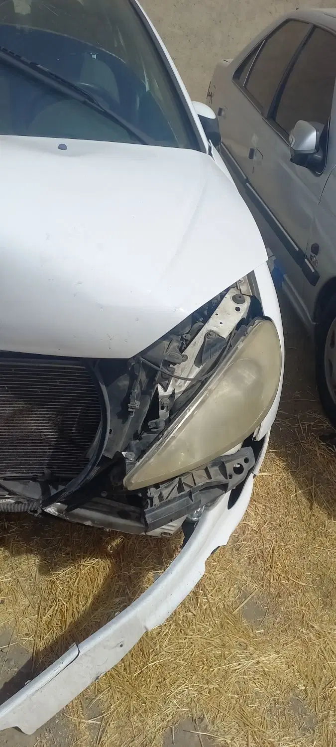 206 V8|خودرو سواری و وانت|همدان, |دیوار