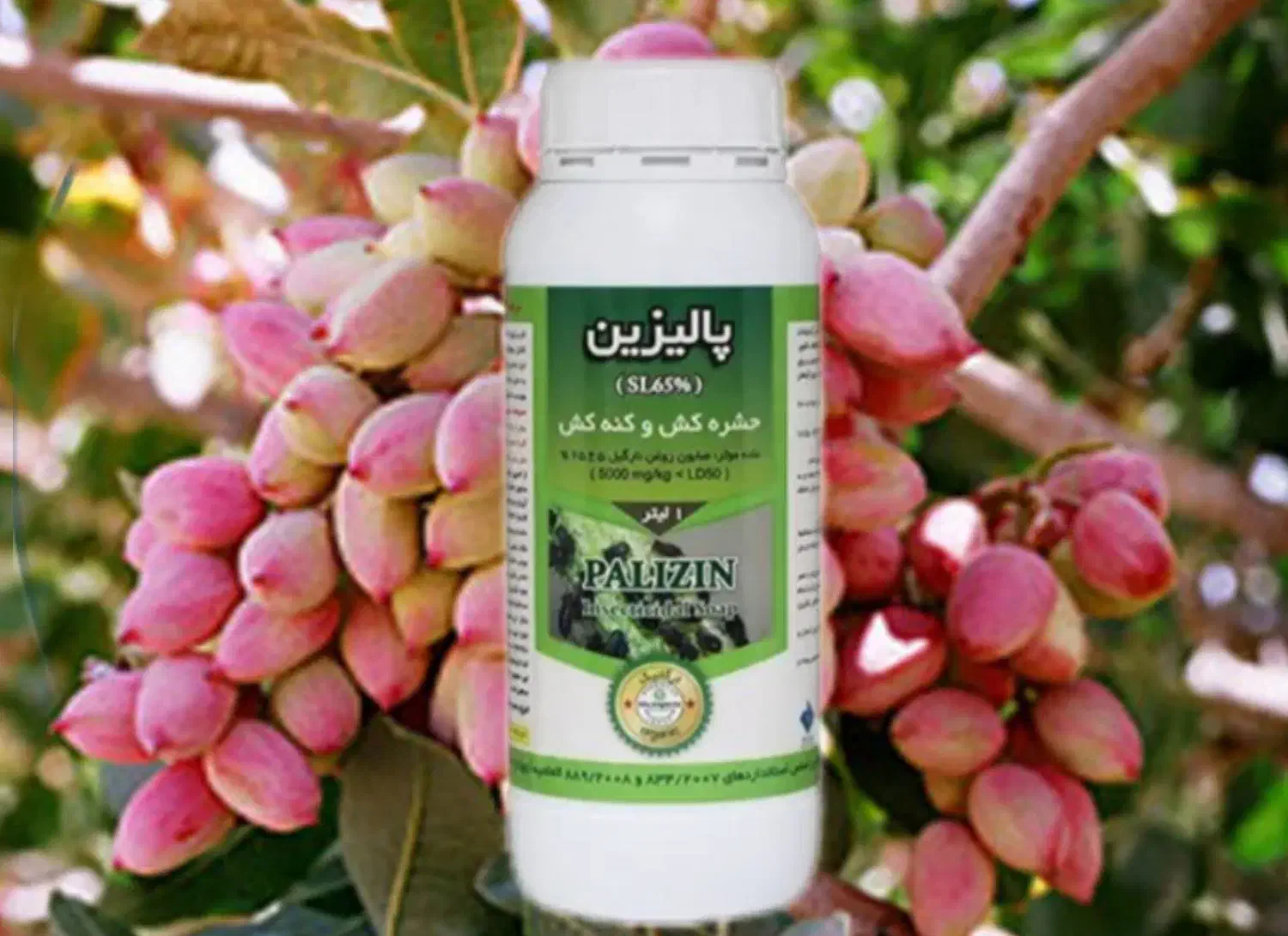 آفت کش ارگانیک|گل و گیاه طبیعی|ورامین, ورامین|دیوار