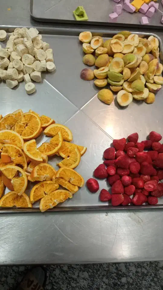 بستنی و میوه خشک فیریزدرایر آرش|خوردنی و آشامیدنی|کرج, جهانشهر|دیوار