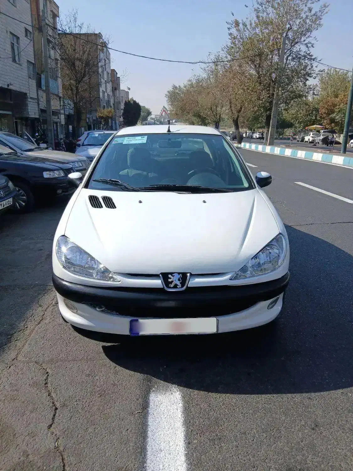 206sdمدل۸۸|خودرو سواری و وانت|تهران, دولتخواه جنوبی|دیوار