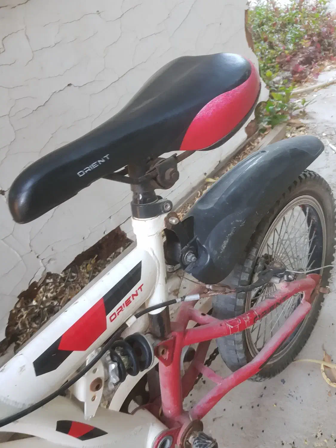 ۳ تا دوچرخه|دوچرخه، اسکیت، اسکوتر|بوشهر, |دیوار