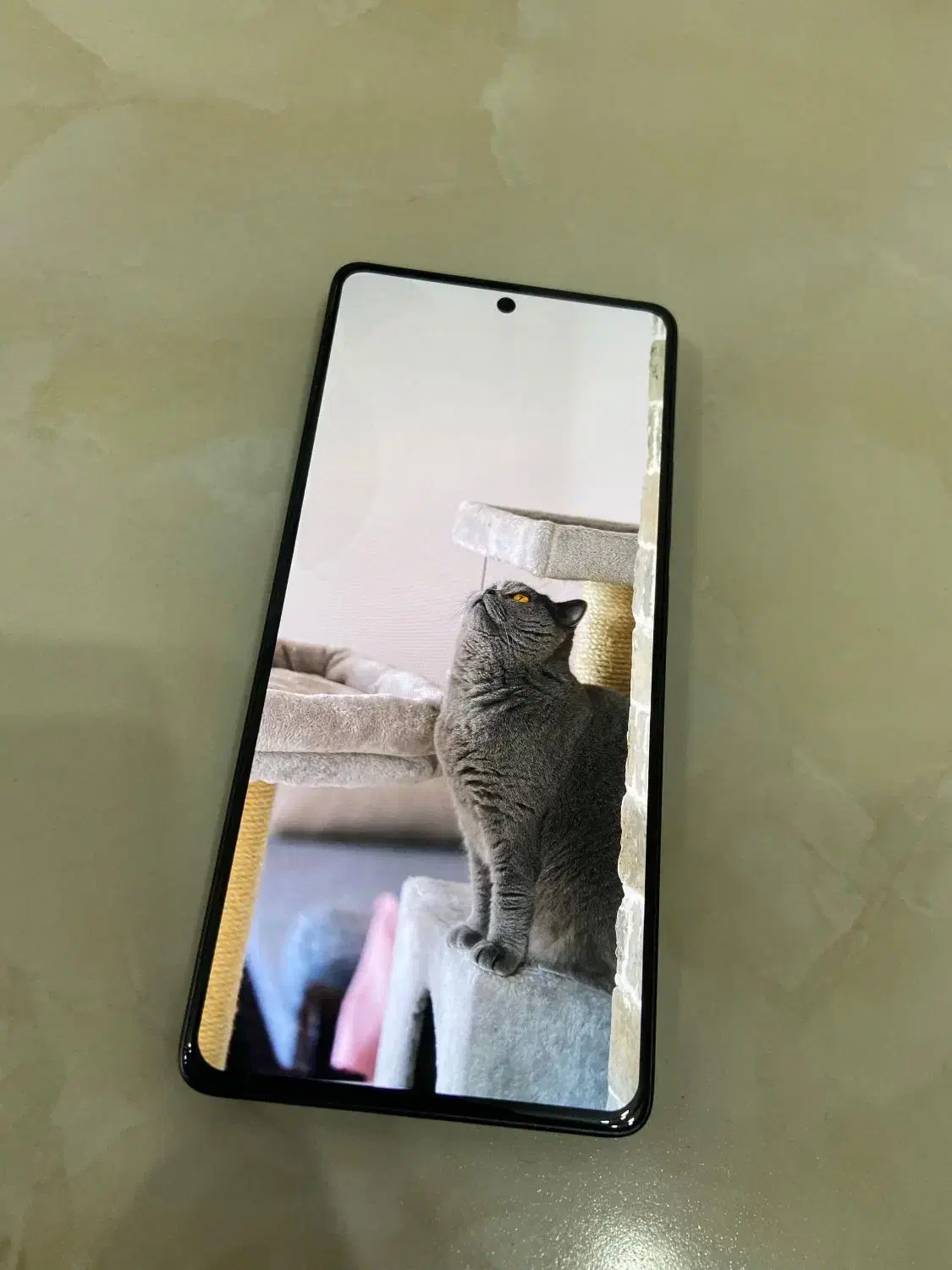 شیائومی Redminote 13 pro|موبایل|رشت, نامجو|دیوار
