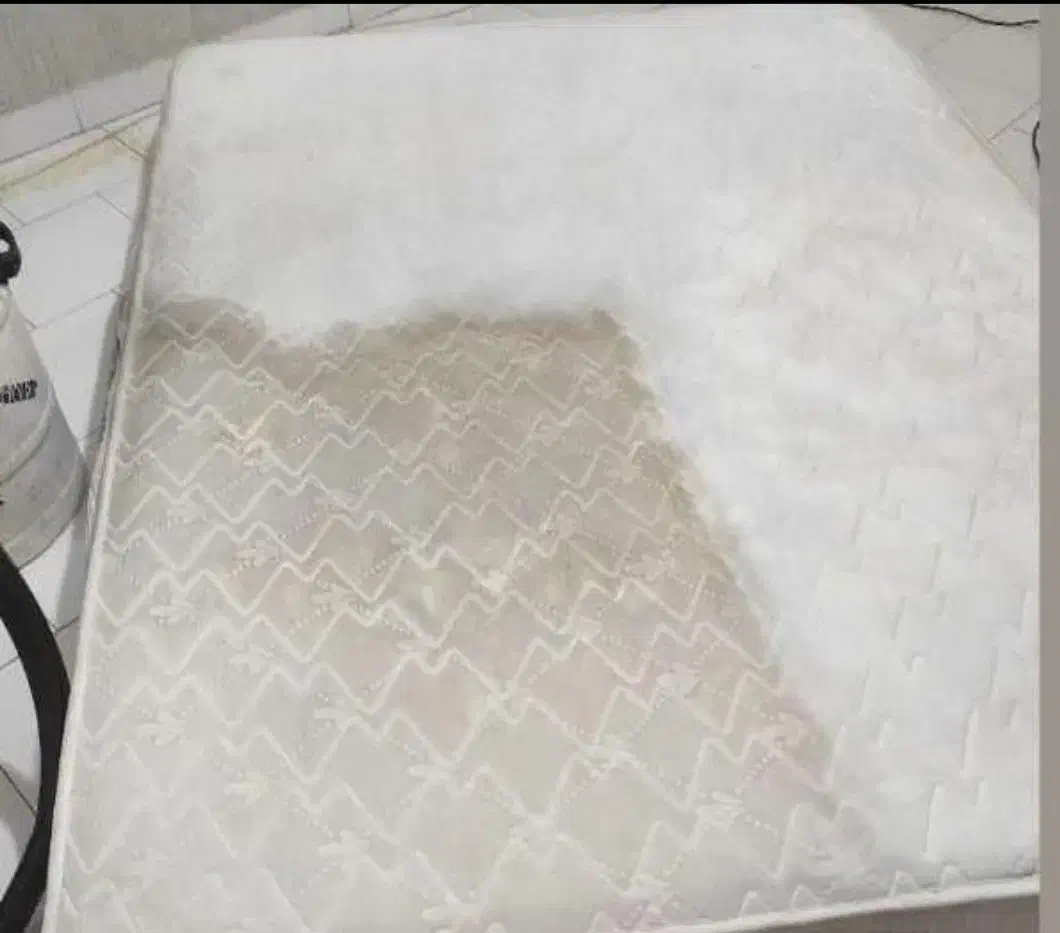 مبل شوی ماندگار با دستگاه بدونه یک قطره آبریزش|خدمات نظافت|قم, پردیسان|دیوار