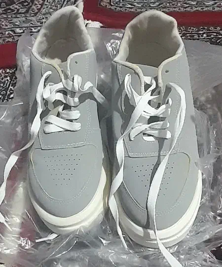 کفش|کیف، کفش، کمربند|سنندج, |دیوار