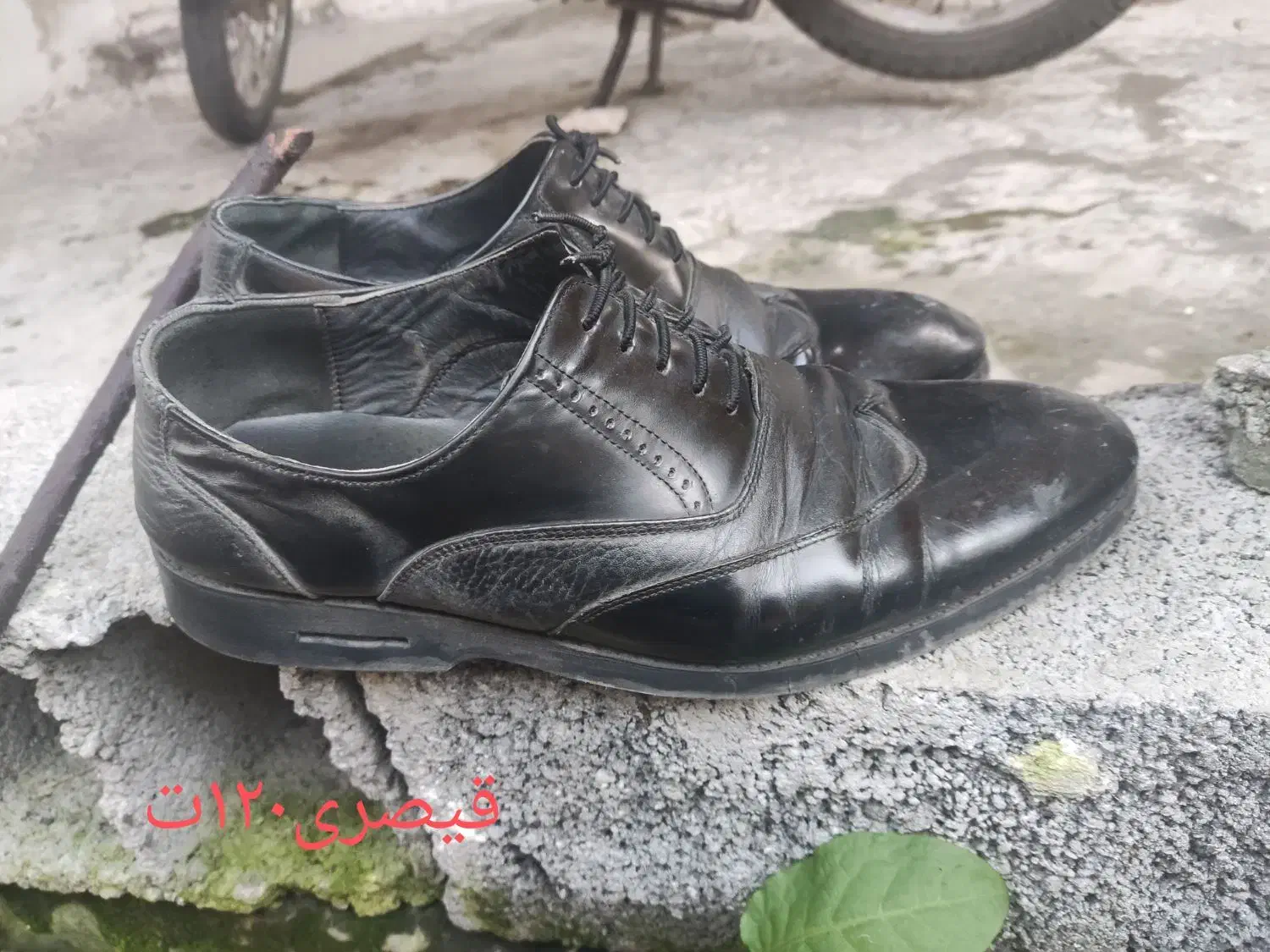 کفش قدیم چرم.بفرما|کیف، کفش، کمربند|نوشهر, |دیوار