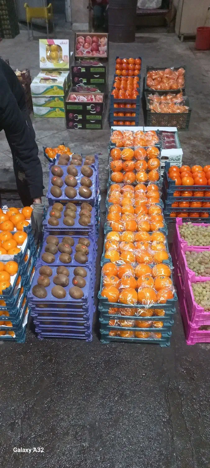 تهیه میوه ازصفرتاصد برای مغازه میوه فروشی تالاررا|عمدهفروشی|تهران, خانی آباد نو شمالی|دیوار