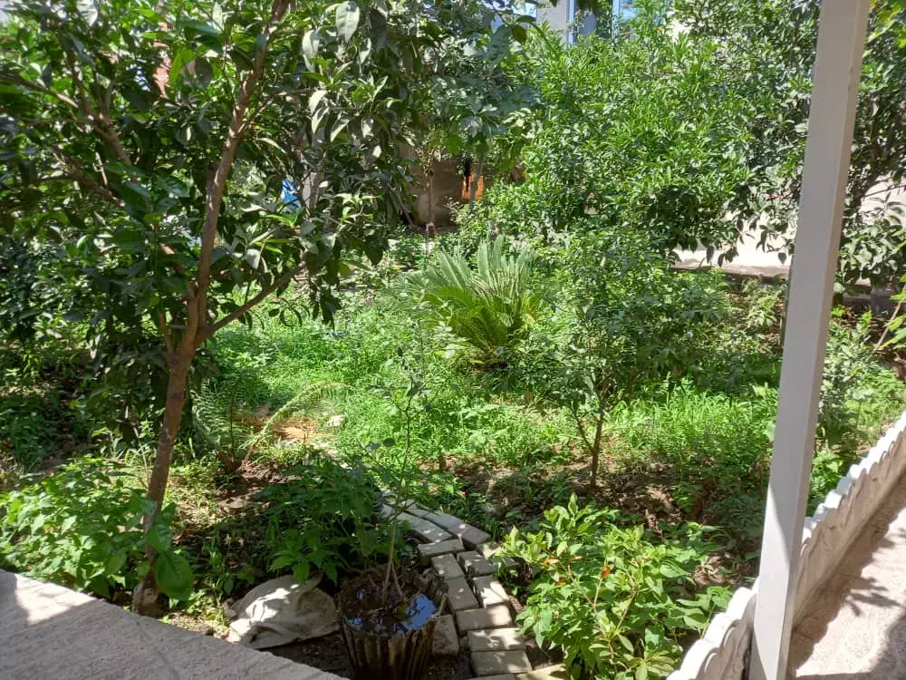 ۳۴۸ متر ویلایی بوستان پارک ملت احمدزاده امین ضرب|فروش خانه و ویلا|رشت, شالکو|دیوار