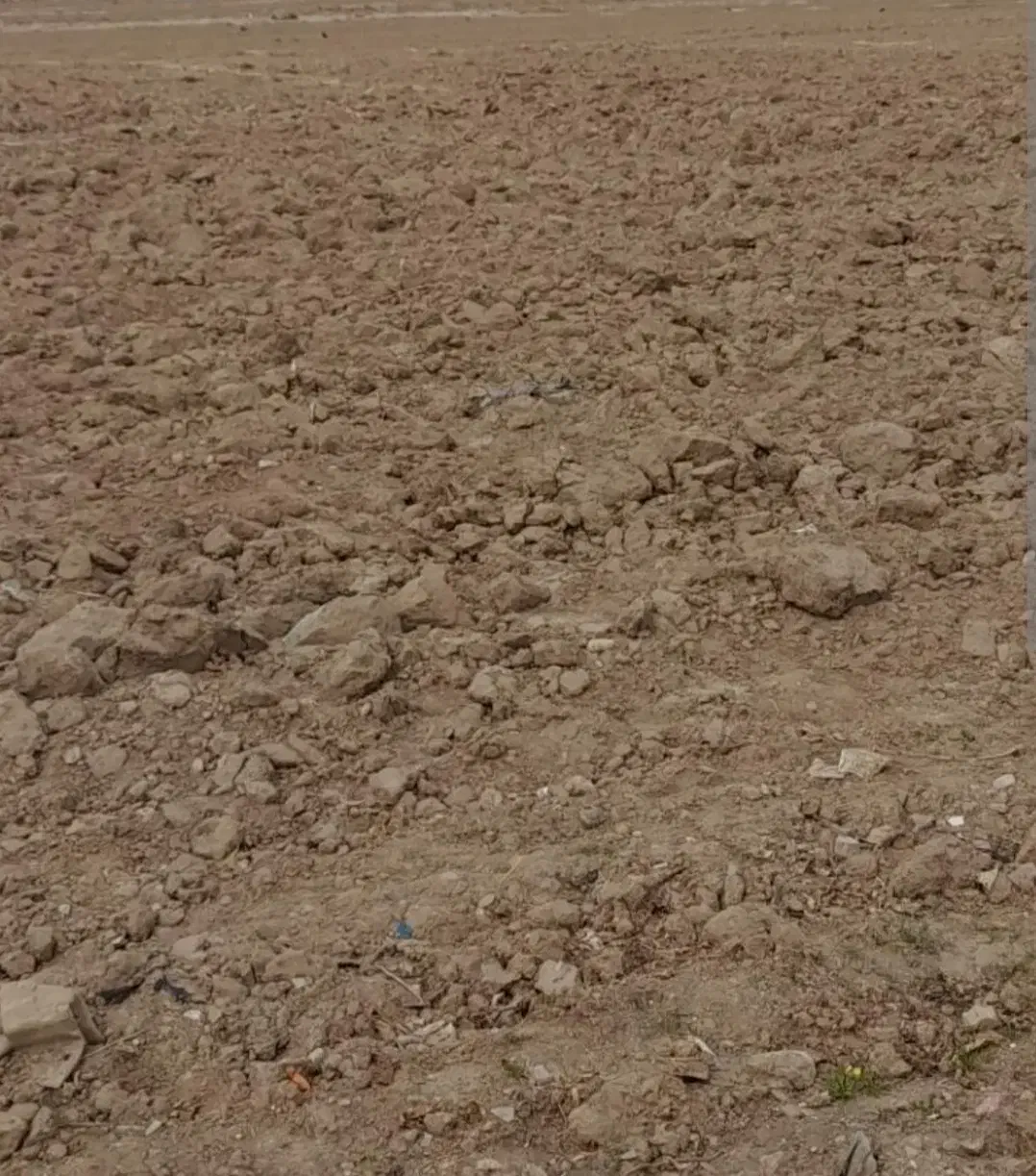 زمین فروشی خرم آباد سیرجان|فروش زمین و ملک کلنگی|سیرجان, |دیوار