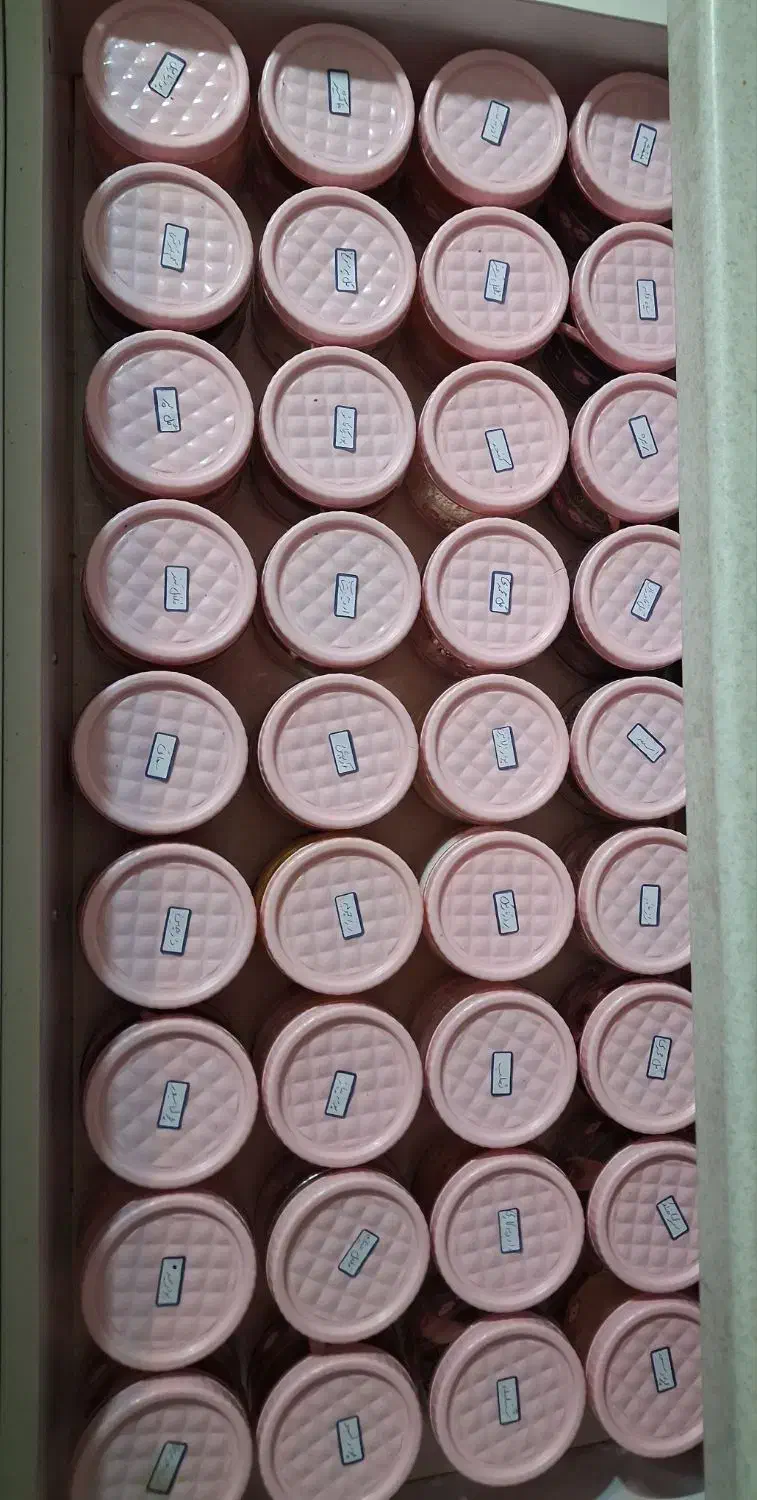 جای ادویه جات|ظروف نگهدارنده، پلاستیکی، یک‌بارمصرف|همدان, |دیوار