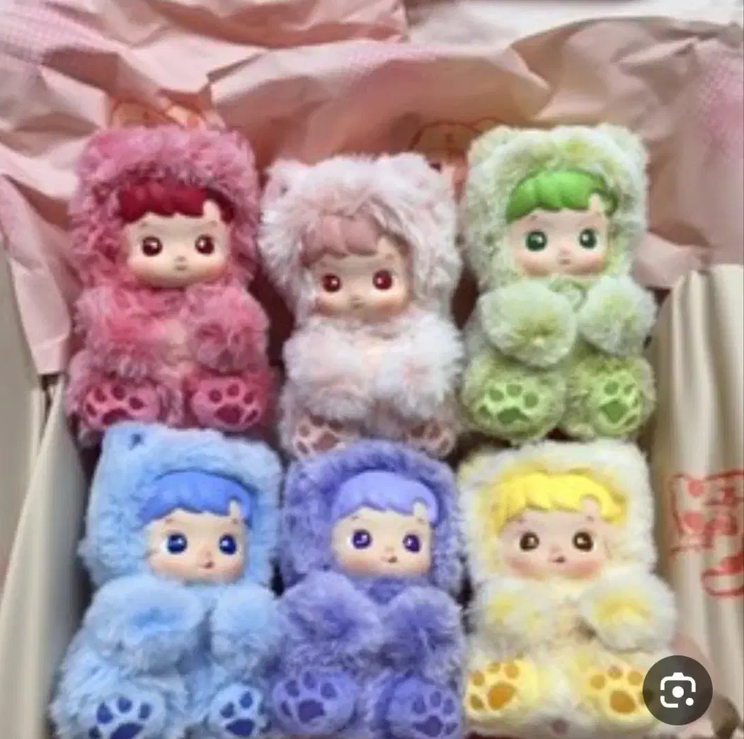 هاچی پو پو|اسباببازی|لاهیجان, انقلاب|دیوار