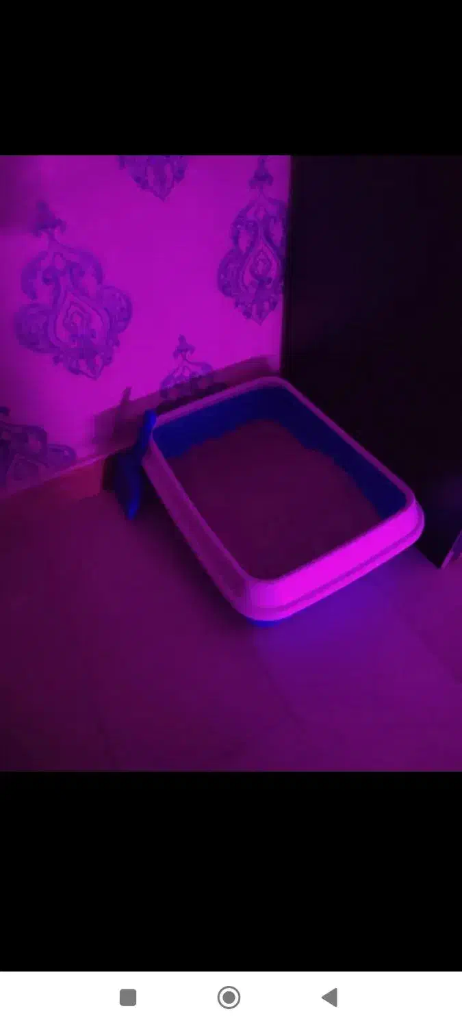 دو عدد ظرف خاک گربه|لوازم جانبی حیوانات|کرج, شهرک امام رضا (ع)|دیوار