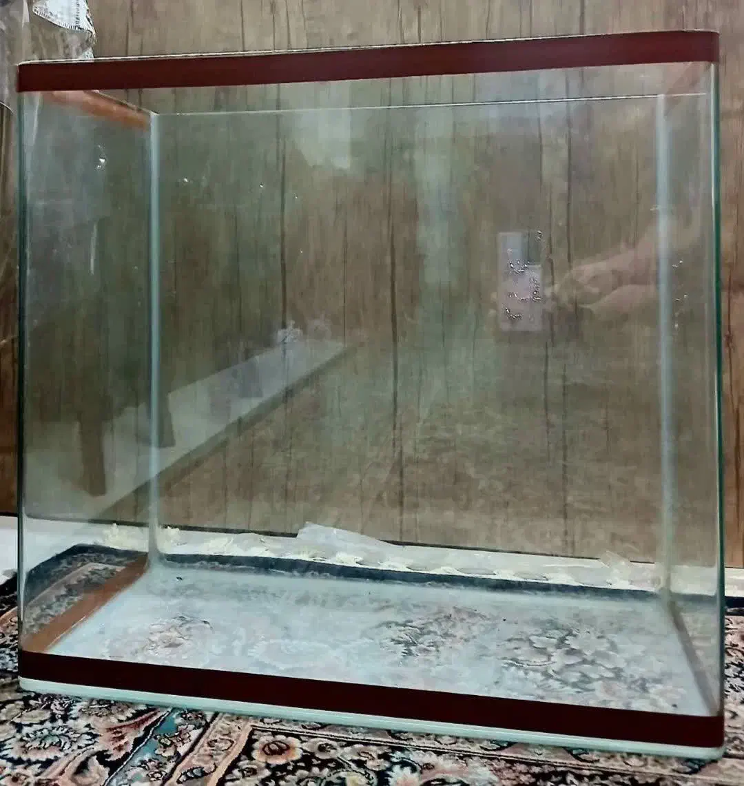 اکواریوم شیشه خم|ماهی|فردیس, فردیس|دیوار