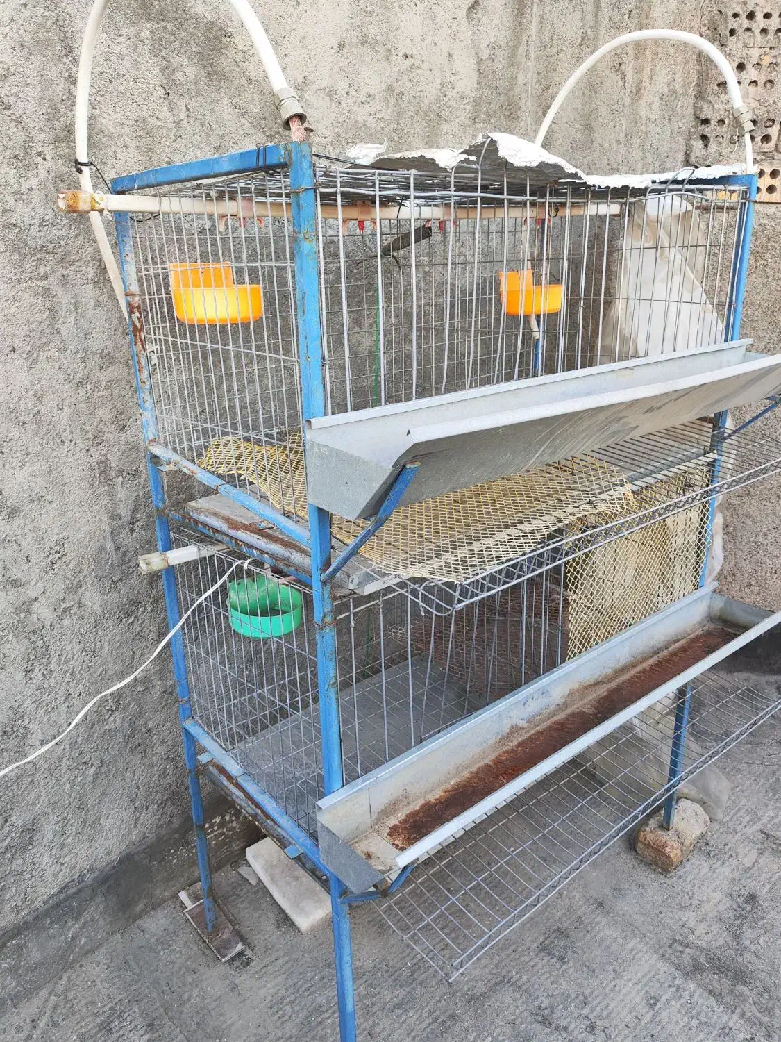 قغس|لوازم جانبی حیوانات|مشهد, حجت|دیوار