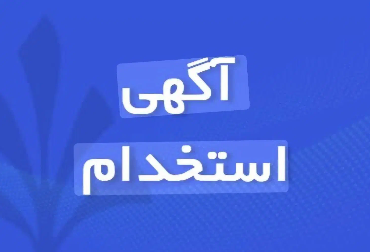 استخدام حسابدار حرفه‌ای|استخدام مالی، حسابداری، حقوقی|سنندج, |دیوار