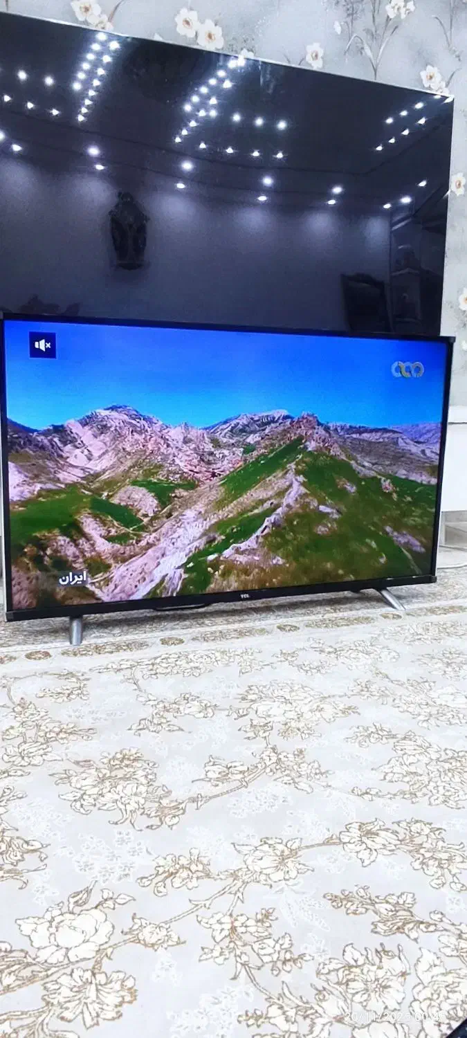 تلویزیون تی سی ال 43 اینچ هوشمند|تلویزیون و پروژکتور|سنندج, |دیوار