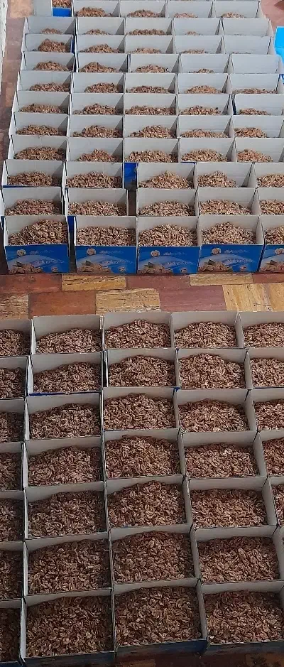 نیروی جوان و فعال|استخدام صنعتی، فنی، مهندسی|آذرشهر, |دیوار