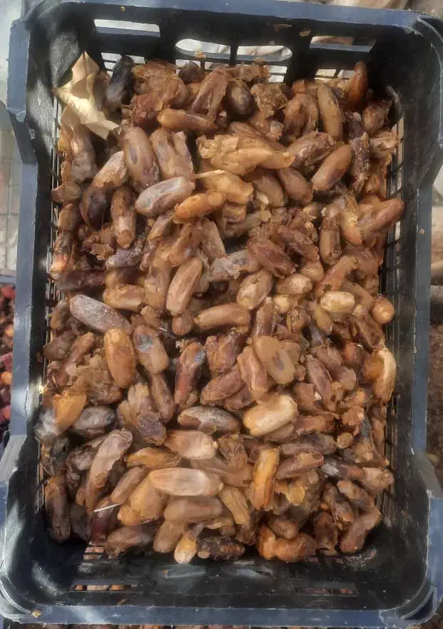 خرما شیرازی مخصوص دوشاو|خوردنی و آشامیدنی|ایوان, |دیوار