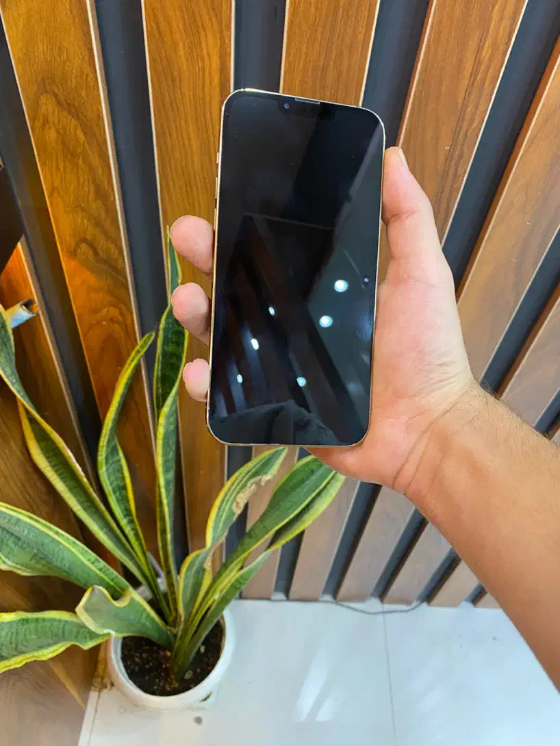 Iphone 13 pro max|موبایل|کرج, گوهردشت|دیوار