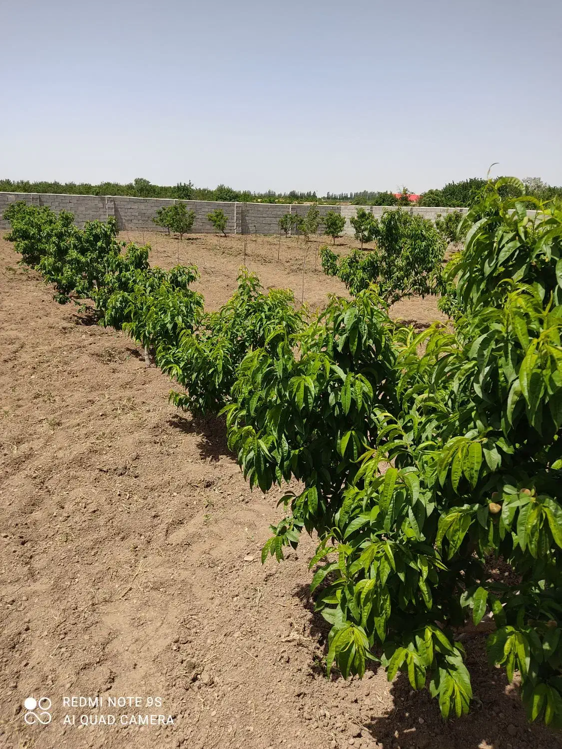 باغ ویلا تبریز شبستر|فروش خانه و ویلا|شبستر, |دیوار