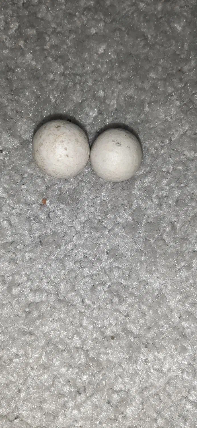 سنگ آسیاب|کلکسیون اشیاء عتیقه|بندرعباس, |دیوار