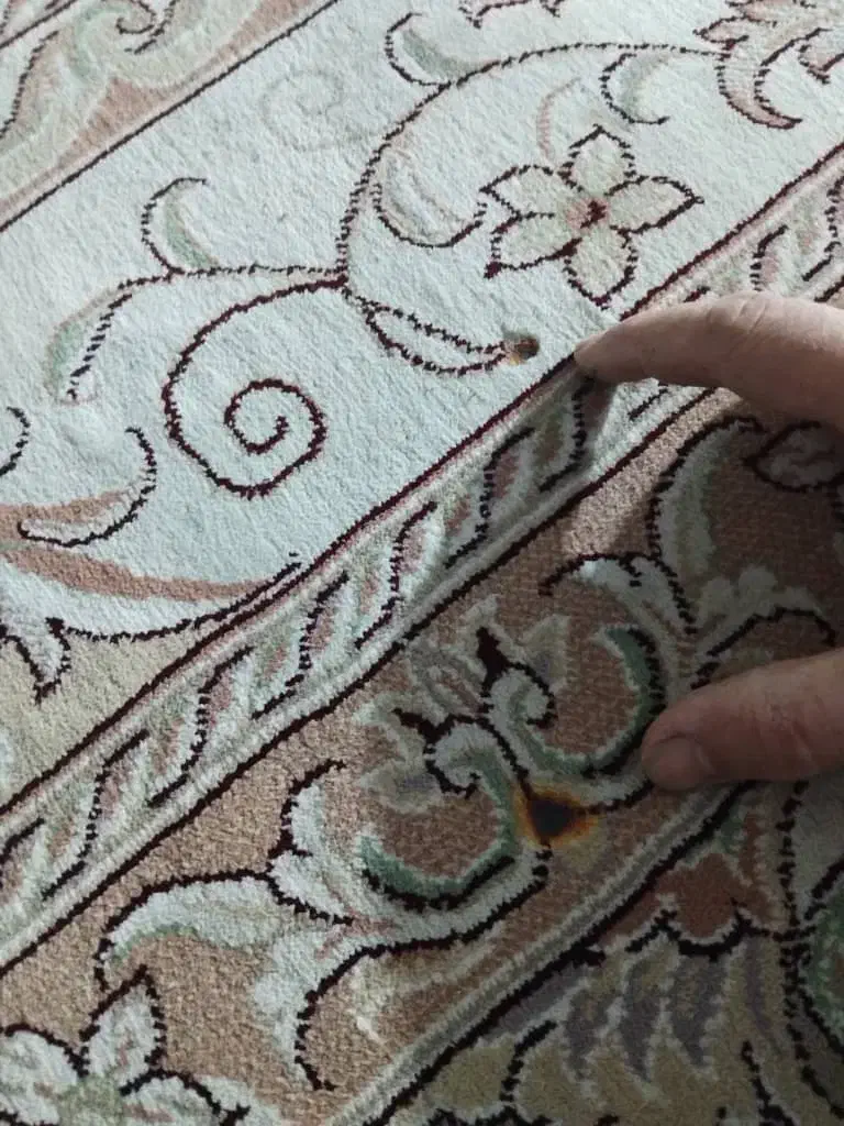 فرش ۱۲ متری گردویی|فرش|بابلسر, |دیوار