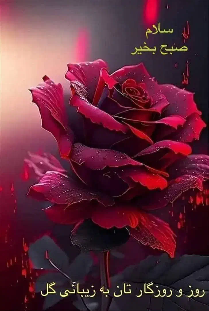 خط رند ۱۱۱|سیم‌کارت|شیراز, عفیف‌آباد|دیوار