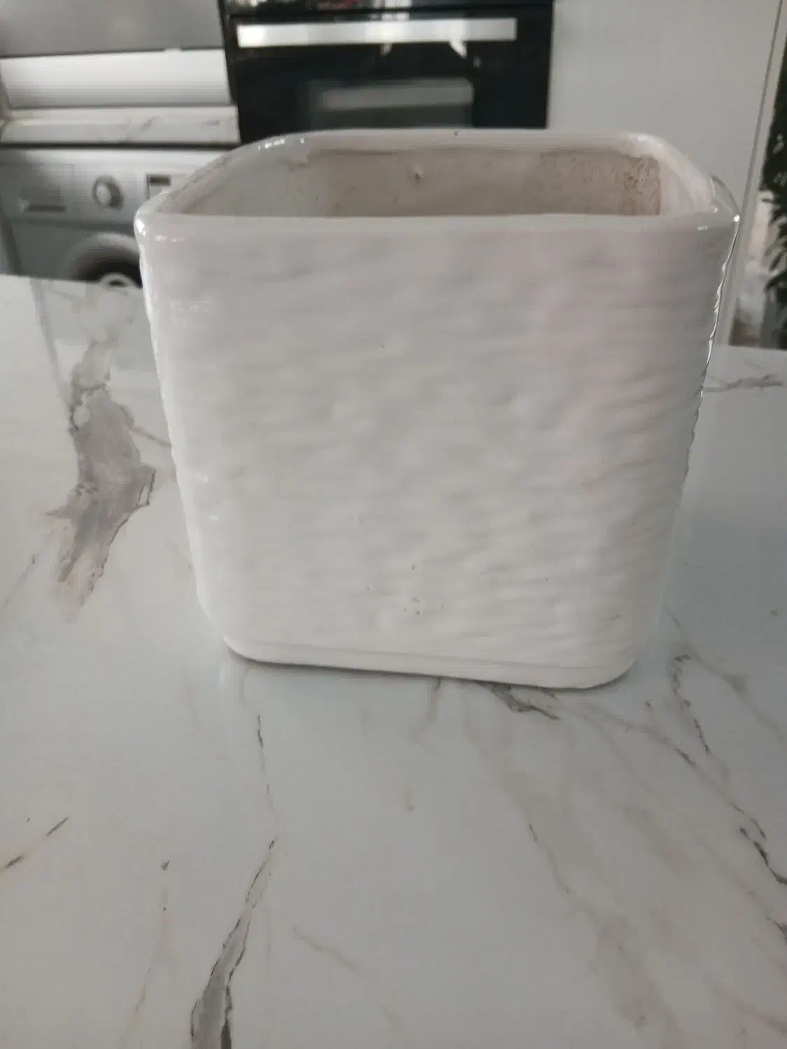 گلدان سرامیکی|گل و گیاه طبیعی|تهران, شهرک فرهنگیان|دیوار