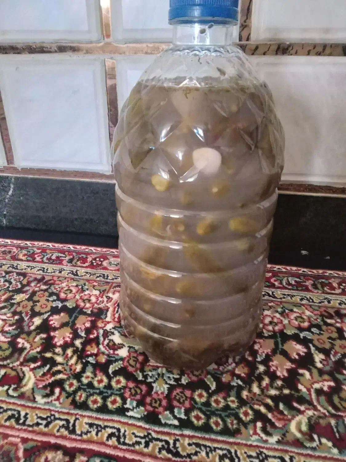 خیارشور 16عدد|خوردنی و آشامیدنی|گیان, |دیوار