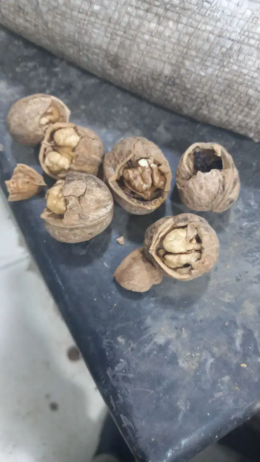 گردو معمولی خرید وفروش|عمده‌فروشی|رابر, |دیوار