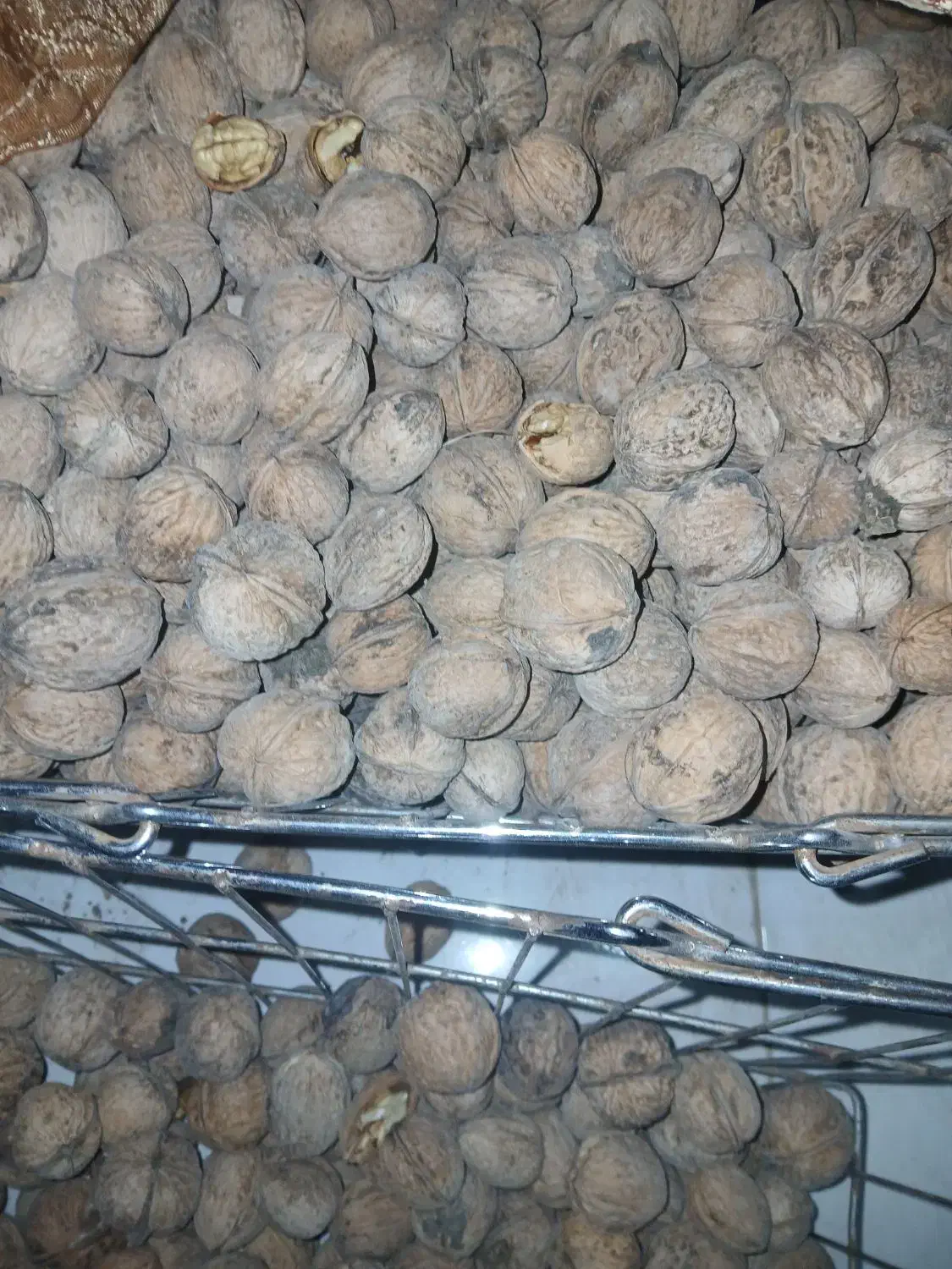 گردو امسالی مغز سفید وپر|خوردنی و آشامیدنی|مشهد, امیرآباد|دیوار