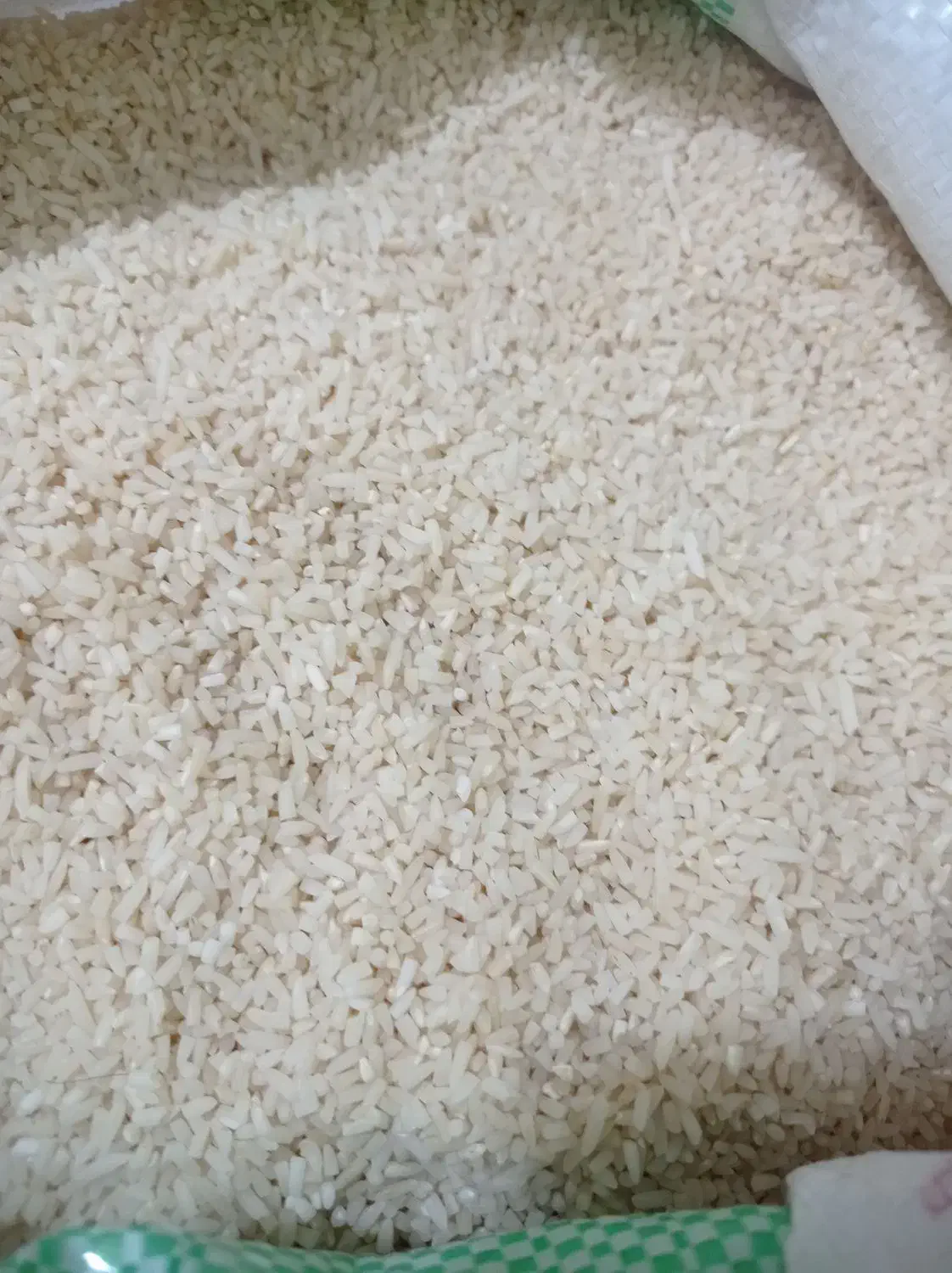 لاشه دم سیاه دودی|خوردنی و آشامیدنی|رشت, دیانتی|دیوار