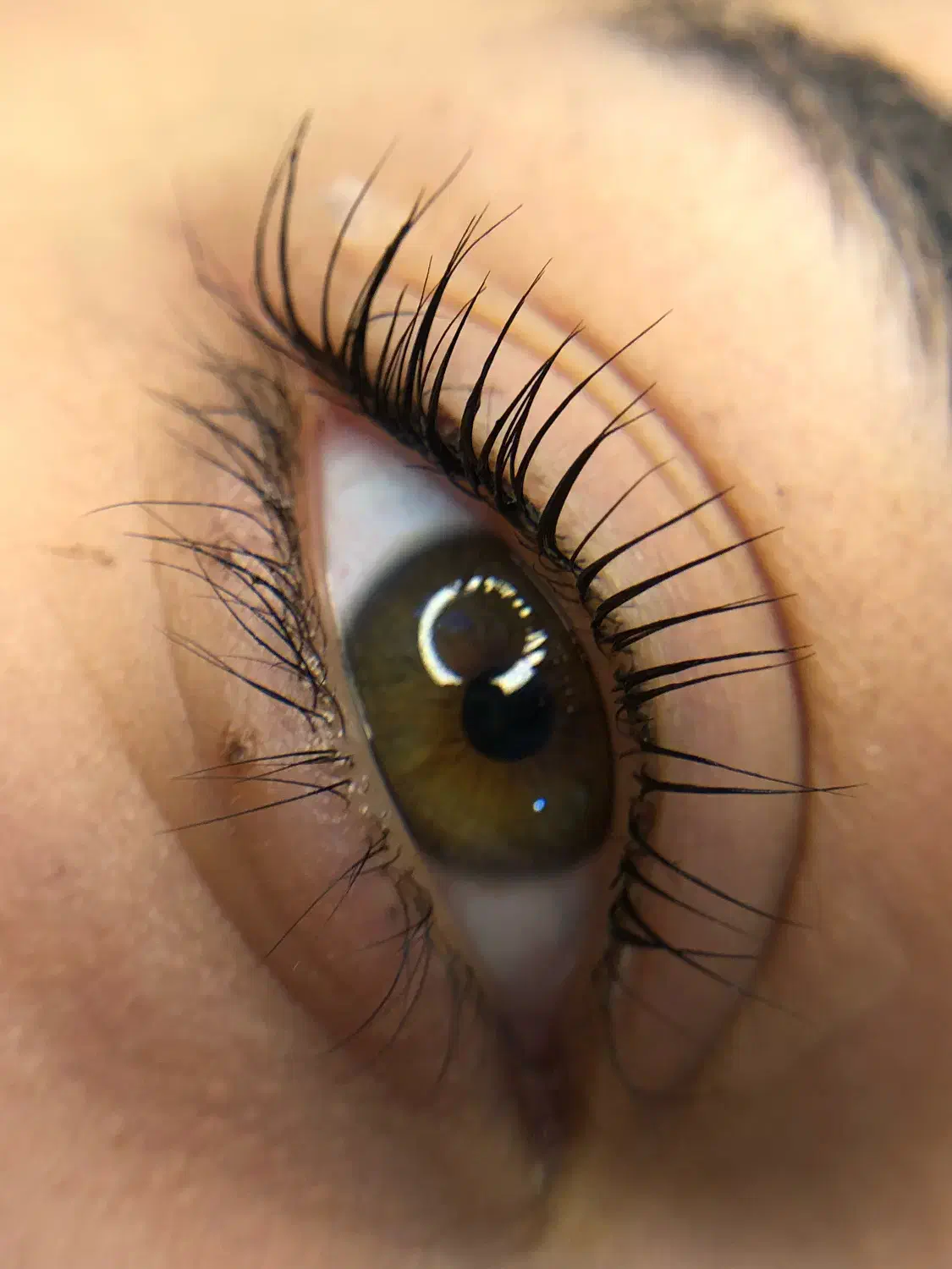 تخفیف بلک فرایدی|خدمات آرایشگری و زیبایی|بندر گناوه, |دیوار